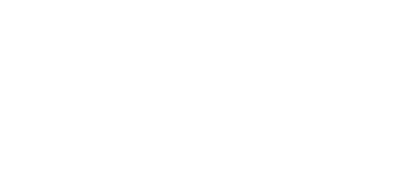 Virtual Regatta Logo White